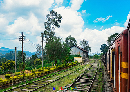 企业网站模板《聚鑫汇》（三） ￥300立即购买